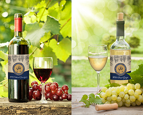 wine